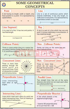 Some Geometrical Concepts